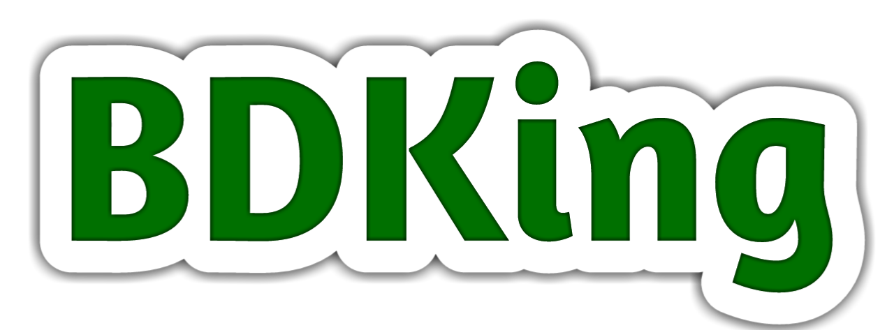 BDKing Logo